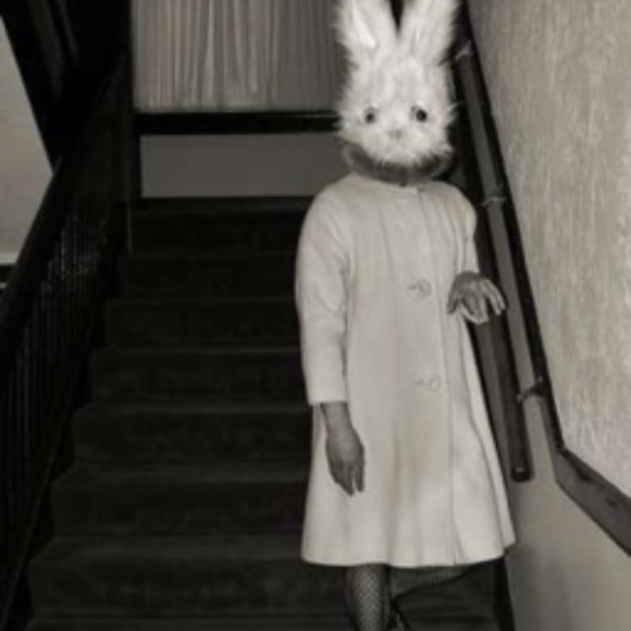 Meet your Posher, Rob - Picture 11 of 16